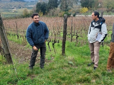 Vinarija u Toskani