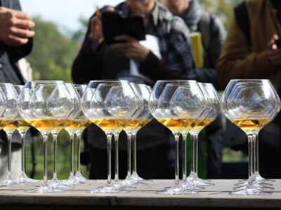 Vinarija Venissa tek nekoliko centimetara nad morem