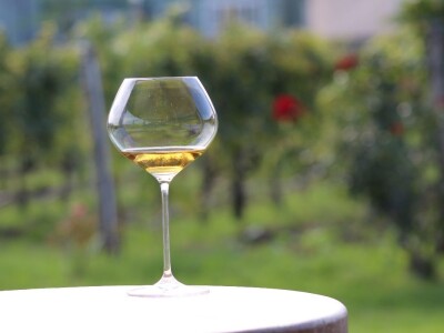 Vinarija Venissa tek nekoliko centimetara nad morem