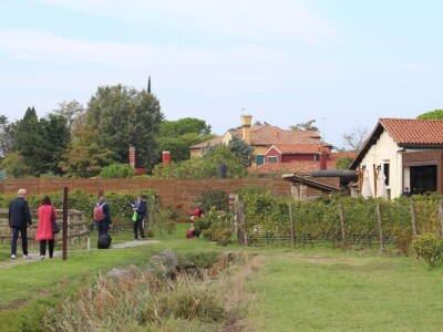 Vinarija Venissa tek nekoliko centimetara nad morem