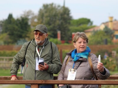 Vinarija Venissa tek nekoliko centimetara nad morem