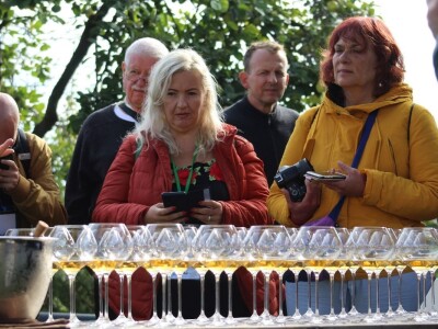 Vinarija Venissa tek nekoliko centimetara nad morem