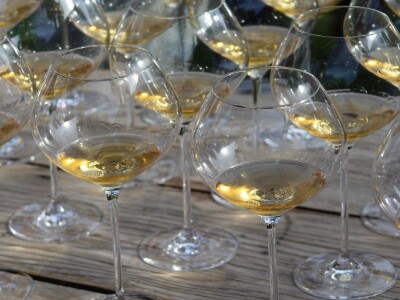 Vinarija Venissa tek nekoliko centimetara nad morem