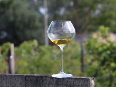 Vinarija Venissa tek nekoliko centimetara nad morem