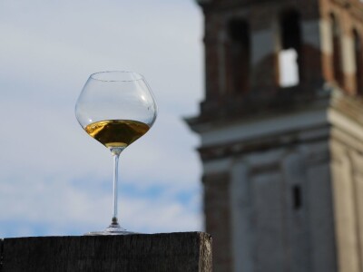 Vinarija Venissa tek nekoliko centimetara nad morem