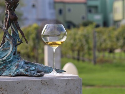 Vinarija Venissa tek nekoliko centimetara nad morem