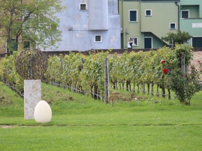 Vinarija Venissa tek nekoliko centimetara nad morem