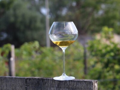 Vinarija Venissa tek nekoliko centimetara nad morem