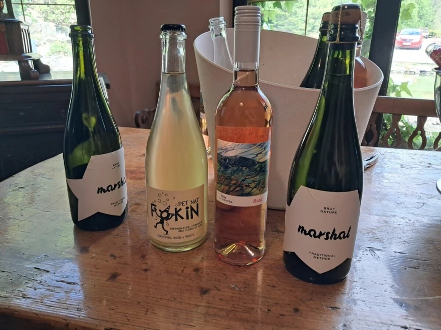 slika vina