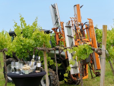 Vinarija "Vinakoper"