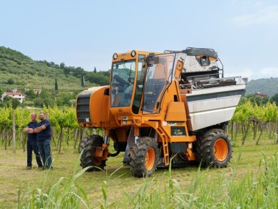 Vinarija "Vinakoper"