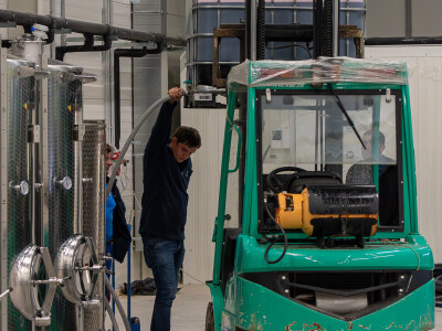 Vinarija Vitus - čuvari autohtonih zagorskih sorti vinove loze