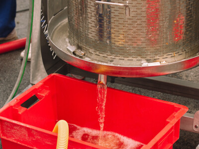 Vinarija Vitus - čuvari autohtonih zagorskih sorti vinove loze