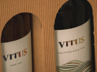 Vinarija Vitus - čuvari autohtonih zagorskih sorti vinove loze