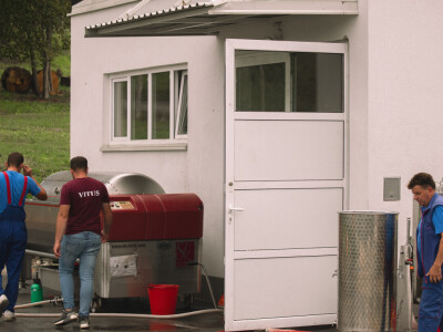 Vinarija Vitus - čuvari autohtonih zagorskih sorti vinove loze