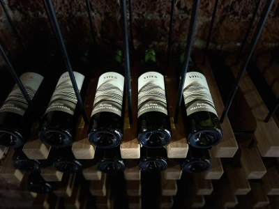 Vinarija Vitus - čuvari autohtonih zagorskih sorti vinove loze