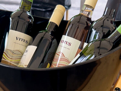 Vinarija Vitus - čuvari autohtonih zagorskih sorti vinove loze