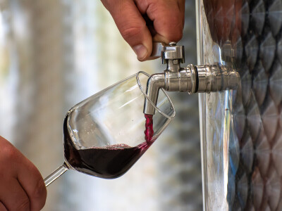 Vinarija Vitus - čuvari autohtonih zagorskih sorti vinove loze