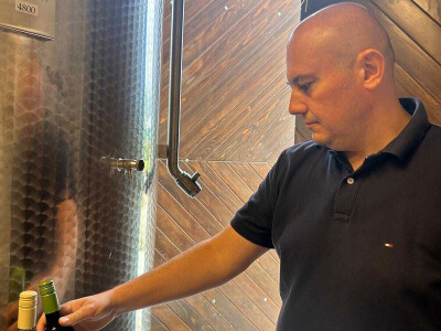 Vinarija Vitus - čuvari autohtonih zagorskih sorti vinove loze