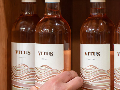 Vinarija Vitus - čuvari autohtonih zagorskih sorti vinove loze