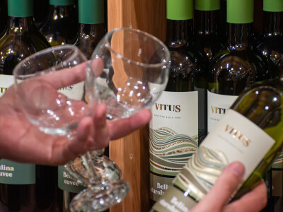 Vinarija Vitus - čuvari autohtonih zagorskih sorti vinove loze