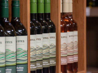 Vinarija Vitus - čuvari autohtonih zagorskih sorti vinove loze