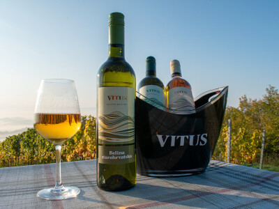 Vinarija Vitus - čuvari autohtonih zagorskih sorti vinove loze