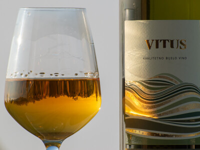 Vinarija Vitus - čuvari autohtonih zagorskih sorti vinove loze