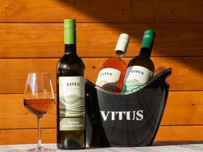 Vinarija Vitus - čuvari autohtonih zagorskih sorti vinove loze