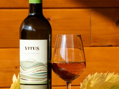 Vinarija Vitus - čuvari autohtonih zagorskih sorti vinove loze