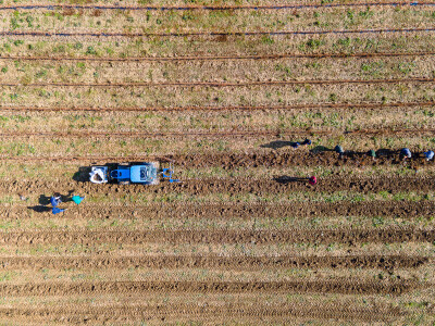 Vinarija Vitus - čuvari autohtonih zagorskih sorti vinove loze