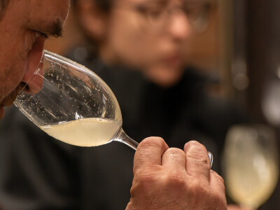 Vinarija Vitus - čuvari autohtonih zagorskih sorti vinove loze