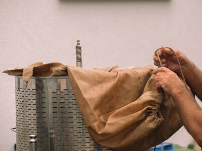 Vinarija Vitus - čuvari autohtonih zagorskih sorti vinove loze