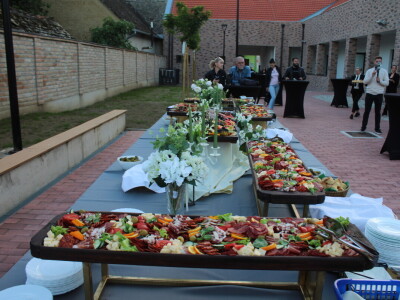 Vinatlon 2025. "Šampion Dunava" graševina Vinarije Svijetli dvori