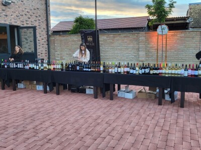 Vinatlon 2025. "Šampion Dunava" graševina Vinarije Svijetli dvori