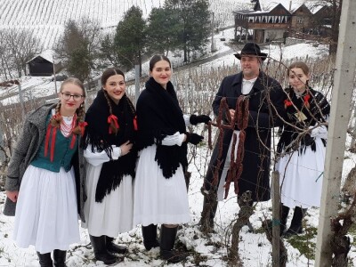 Vincekovo u Svetom Ivanu Zelini