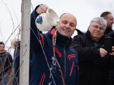 Vincekovo u Svetom Ivanu Zelini