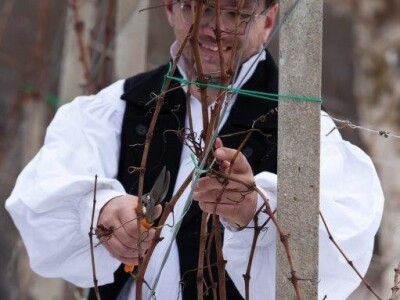 Vincekovo u Svetom Ivanu Zelini