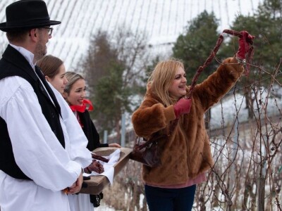 Vincekovo u Svetom Ivanu Zelini