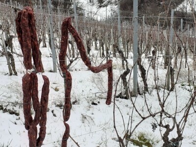 Vincekovo u Svetom Ivanu Zelini