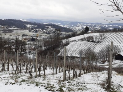 Vincekovo u Svetom Ivanu Zelini