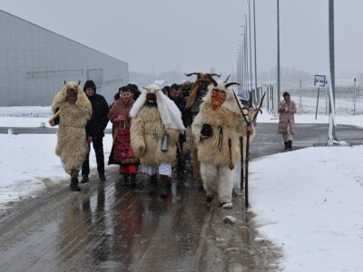 Vinceška Belje 2024