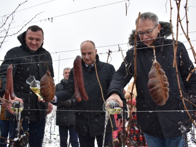 Vinceška Belje 2024