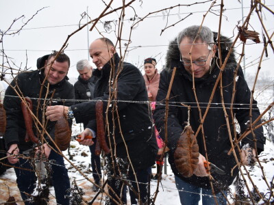 Vinceška Belje 2024