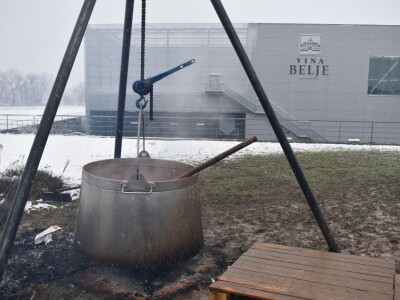 Vinceška Belje 2024