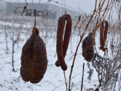 Vinceška Belje 2024