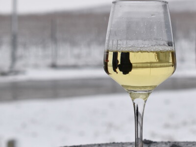 Vinceška Belje 2024