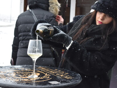 Vinceška Belje 2024