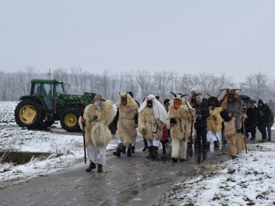 Vinceška Belje 2024