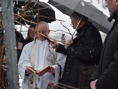 Vinceška Belje 2024